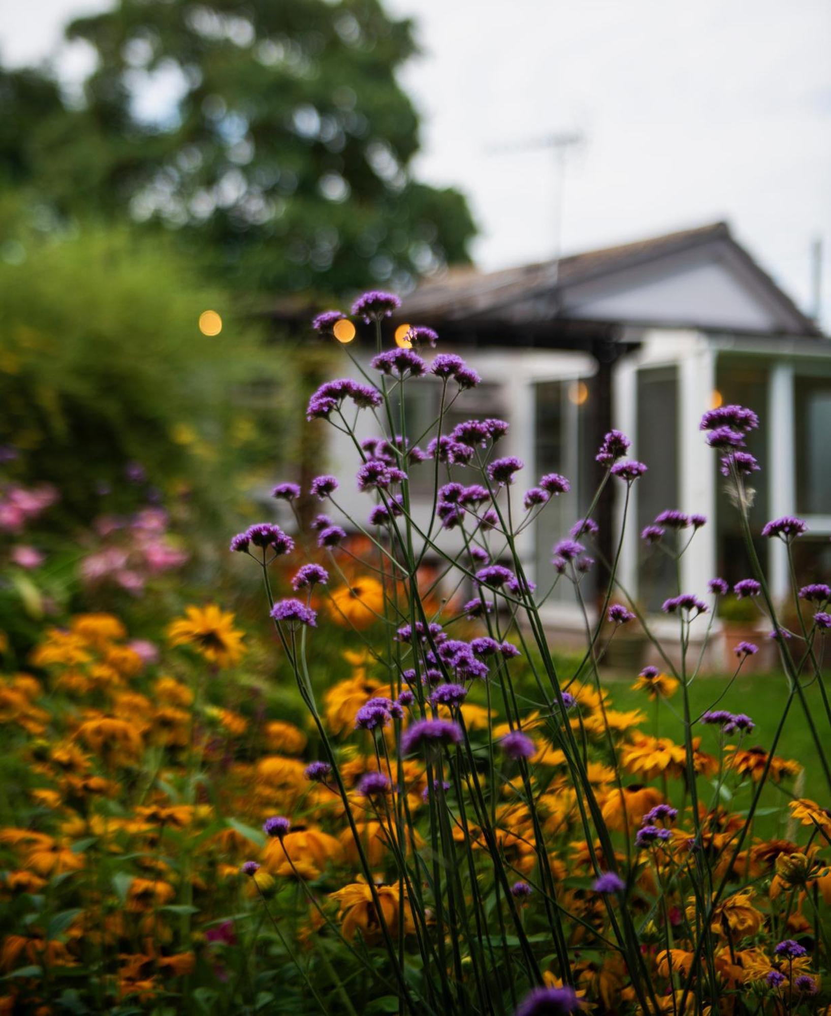 Peaceful, Country Setting In Suffolk, Near Coast Villa Halesworth Exterior foto